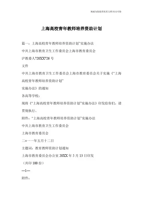 上海高校青年教师培养资助计划