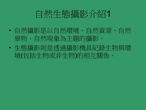 昆虫摄影的态度与简单技巧