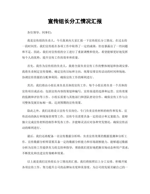 宣传组长分工情况汇报