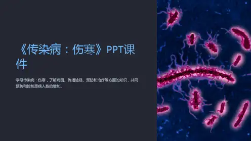 《传染病：伤寒》课件