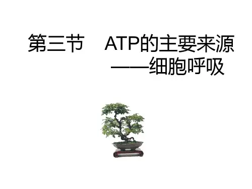 有氧呼吸ppt课件