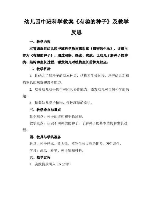 幼儿园中班科学教案《有趣的种子》及教学反思
