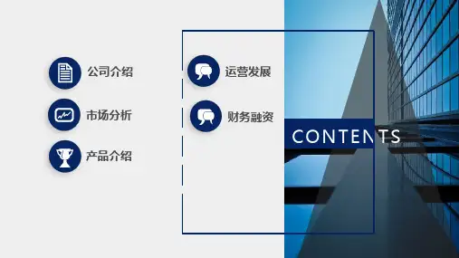 乳制品创业计划书PPT课件