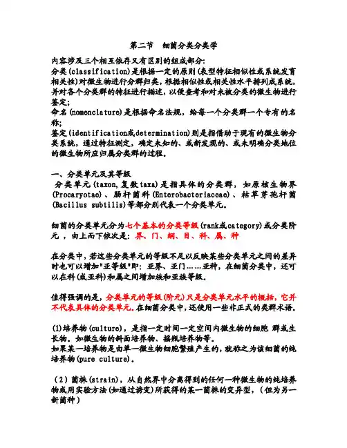 细菌分类分类学