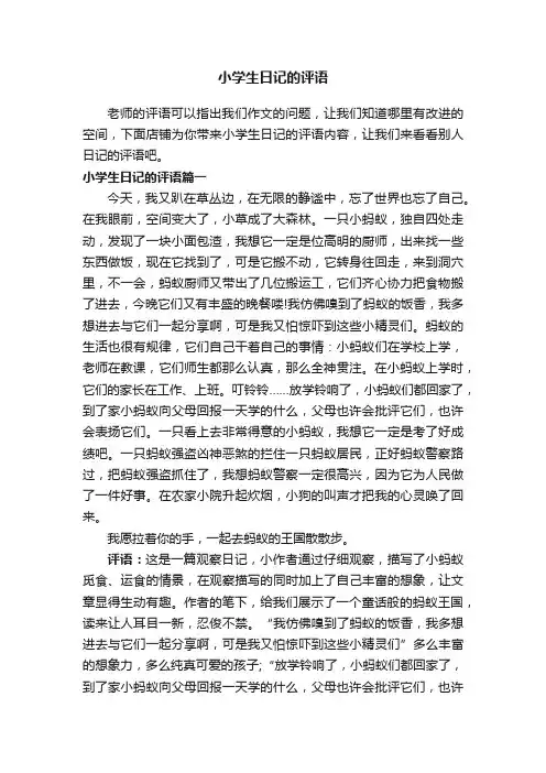 小学生日记的评语