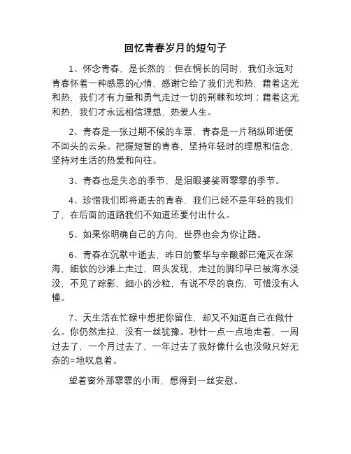 回忆青春岁月的短句子