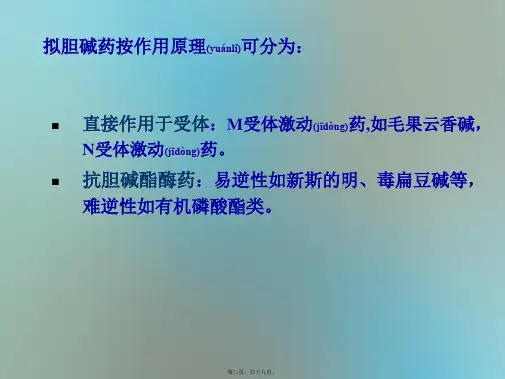 202X年胆碱受体激动药及作用于胆碱酯酶药