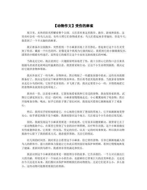 【动物作文】受伤的麻雀