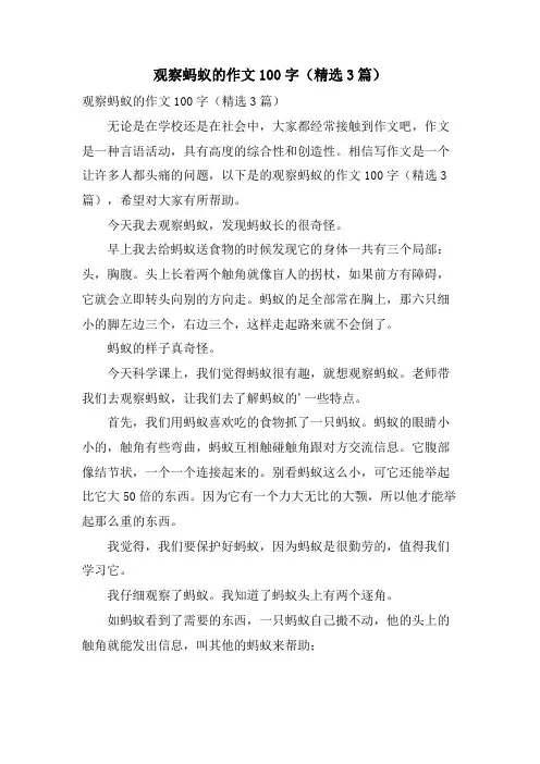 观察蚂蚁的作文100字(3篇)