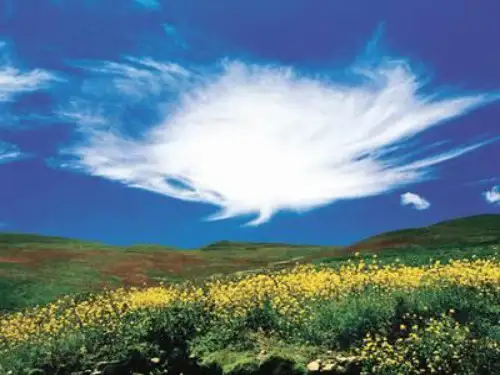 西地平线上ppt30 课件