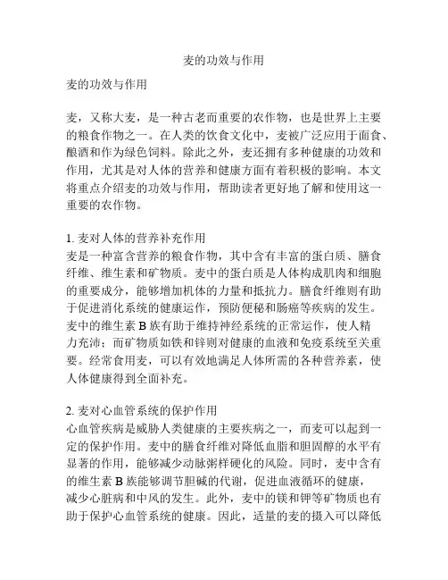 麦的功效与作用
