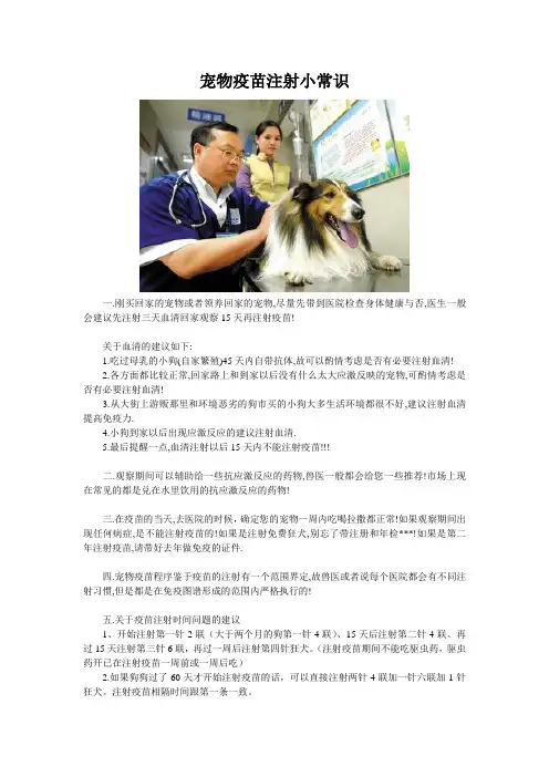 宠物疫苗注射小识