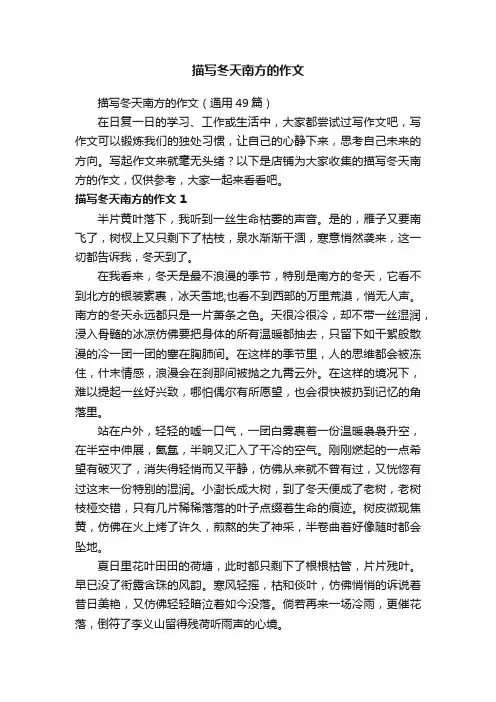 描写冬天南方的作文
