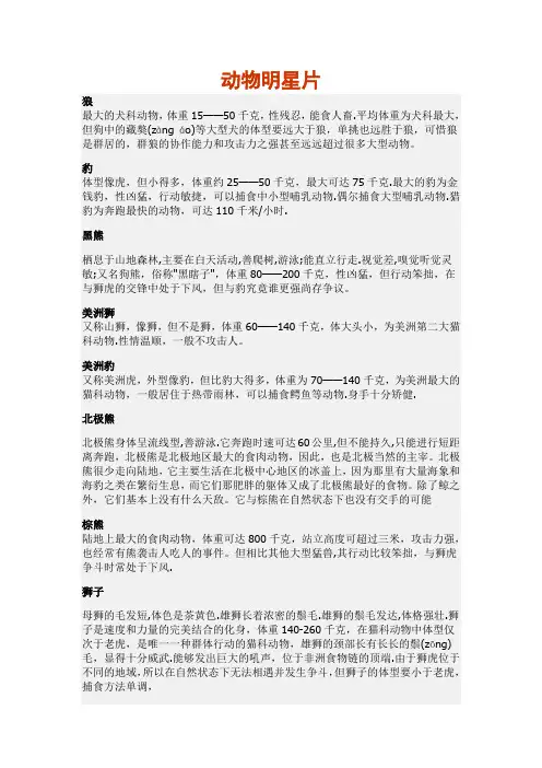 十大动物明星