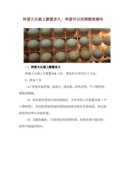 种蛋大头朝上静置多久,种蛋可以用酒精消毒吗
