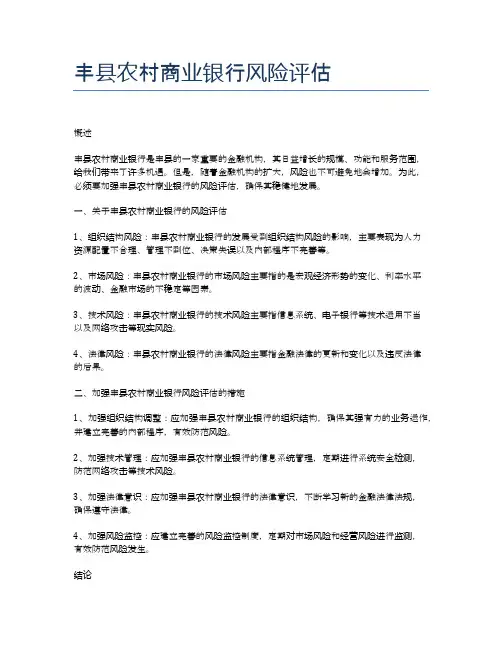 丰县农村商业银行风险评估