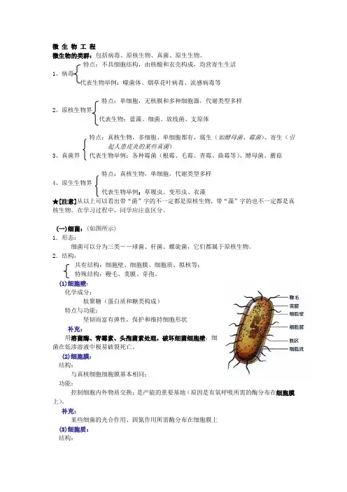 微生物工程总结