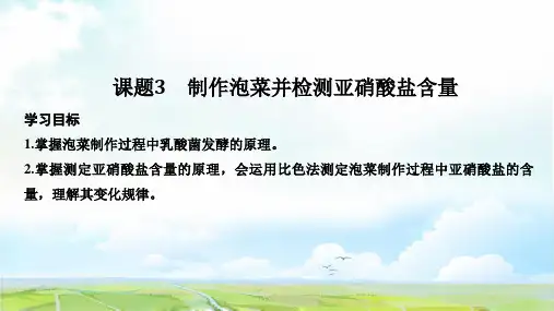高中生物选修1优质课件：1.3 制作泡菜并检测亚硝酸盐含量