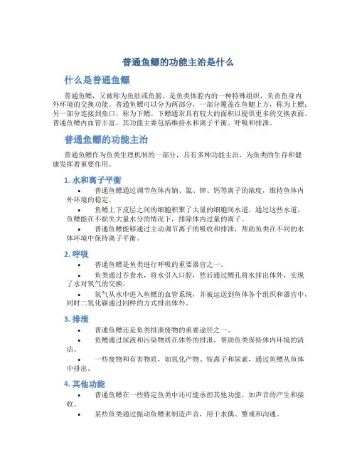 普通鱼鳔的功能主治是什么