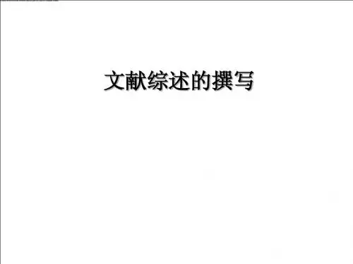 文献综述