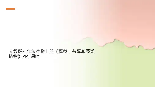 人教版七年级生物上册《藻类、苔藓和蕨类植物》PPT课件