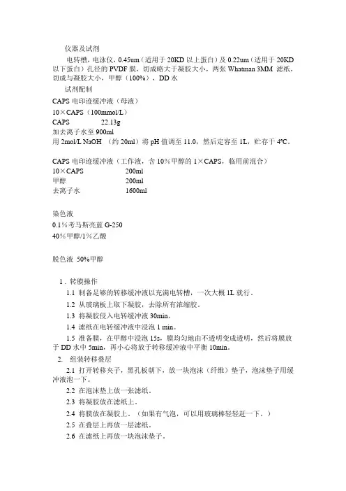 蛋白转膜