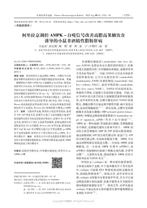 柯里拉京调控AMPK-自噬信号改善高脂高果糖饮食诱导的小鼠非酒精性脂肪肝病