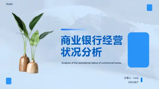 2023年某银行经营状况分析课件