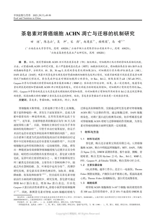 茶皂素对肾癌细胞ACHN凋亡与迁移的机制研究