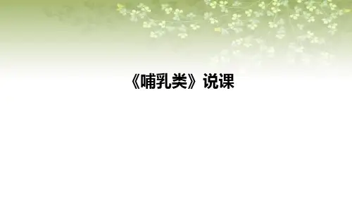 2021苏教版小学科学四年上册《哺乳类》说课课件(含反思)