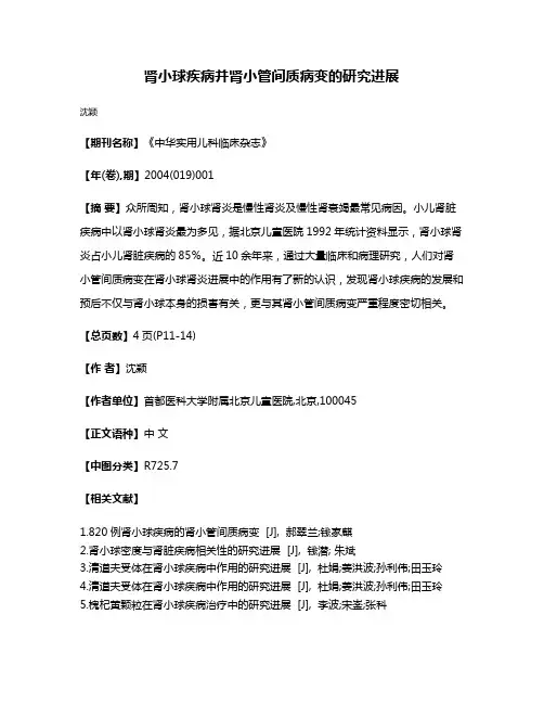 肾小球疾病并肾小管间质病变的研究进展