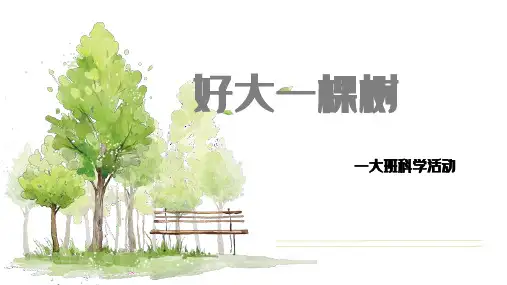 好大一棵树-幼儿园通用课件
