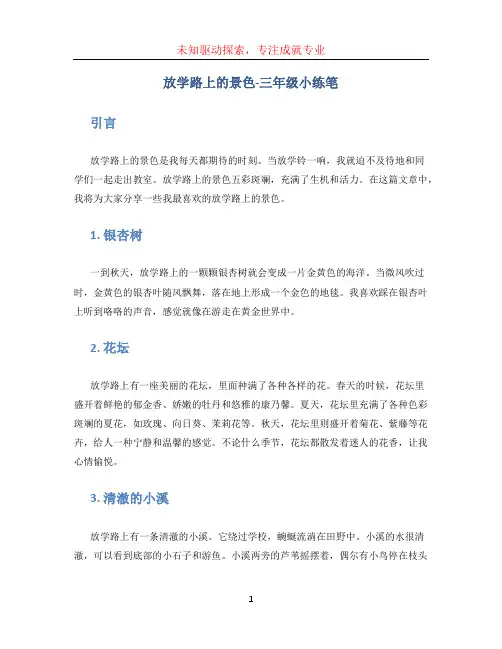 放学路上的景色三年级小练笔 (2)