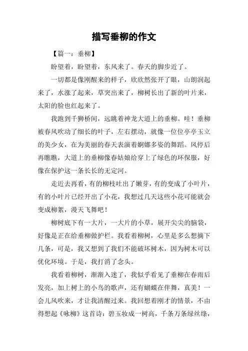 描写垂柳的作文