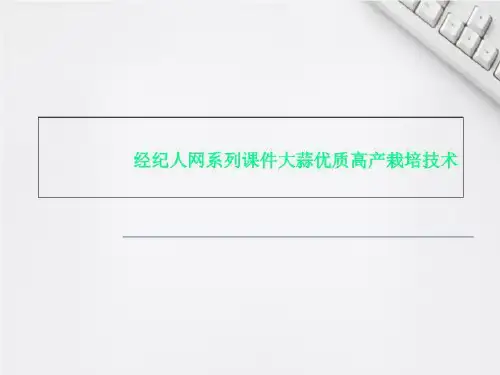 经纪人网系列课件大蒜优质高产栽培技术