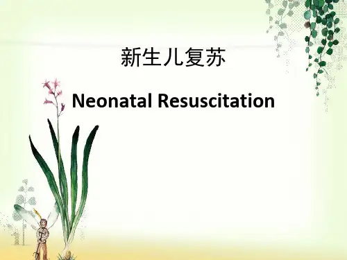 新生儿复苏教程ppt课件