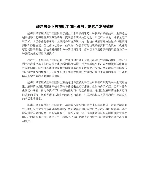 超声引导下腹横肌平面阻滞用于剖宫产术后镇痛