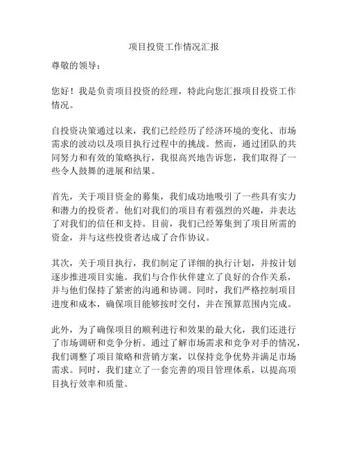 项目投资工作情况汇报