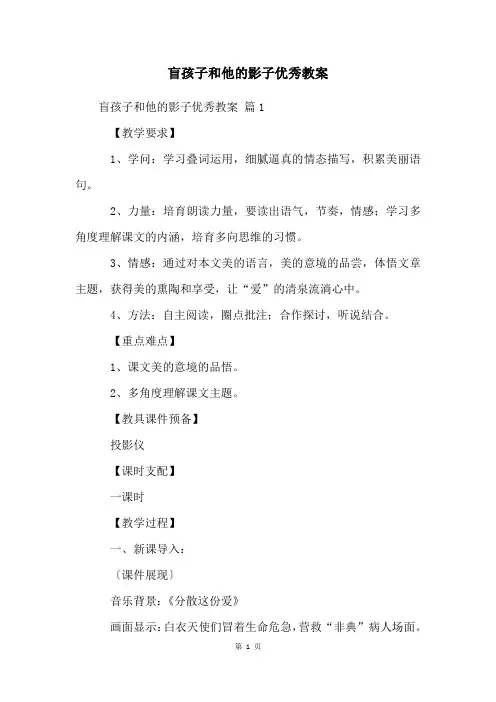 盲孩子和他的影子优秀教案