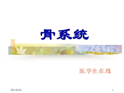 运动系统解剖学课件—骨学总论优质课件PPT