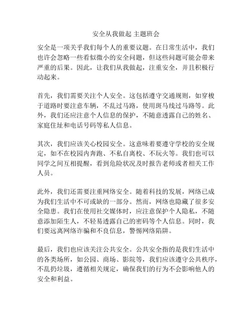 安全从我做起 主题班会