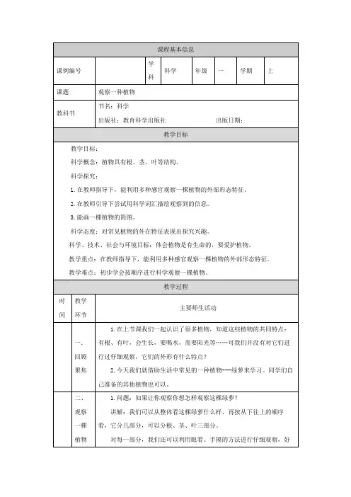 2024年上学期小学科学教案一年级【科学(教科版)】观察一棵植物-1教学设计