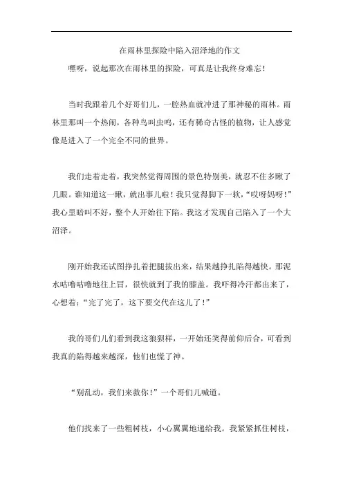 在雨林里探险中陷入沼泽地的作文