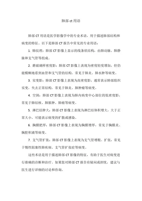 肺部ct用语