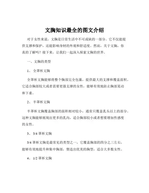 文胸知识最全的图文介绍