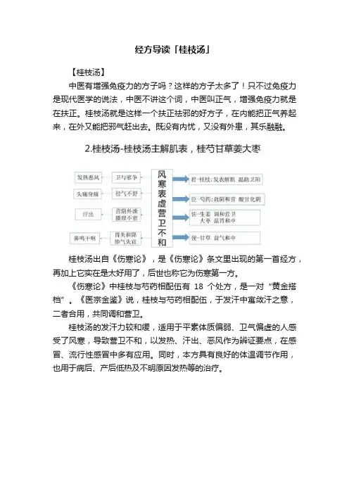经方导读「桂枝汤」
