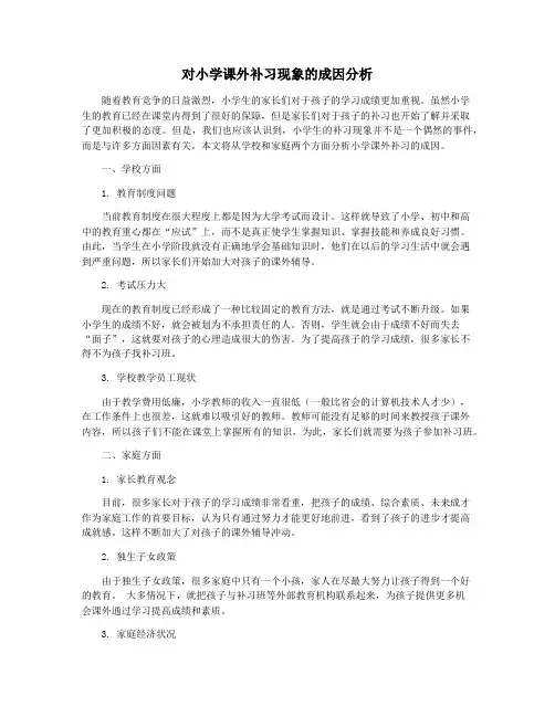 对小学课外补习现象的成因分析