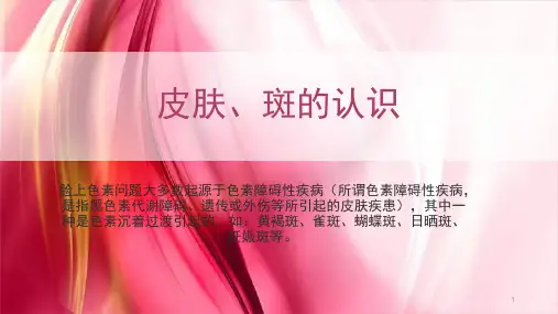 皮肤、斑的认识PPT课件