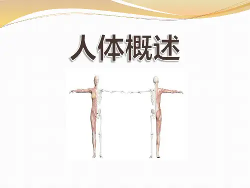 《人体概述》PPT【优质课件】