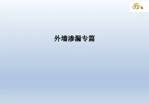 质量通病防治指引(外墙渗漏)